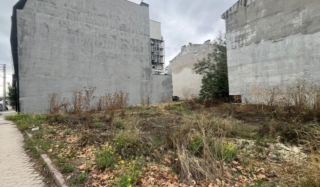 Eskişehir’de atıl arazide bakımsızlık dikkat çekiyor