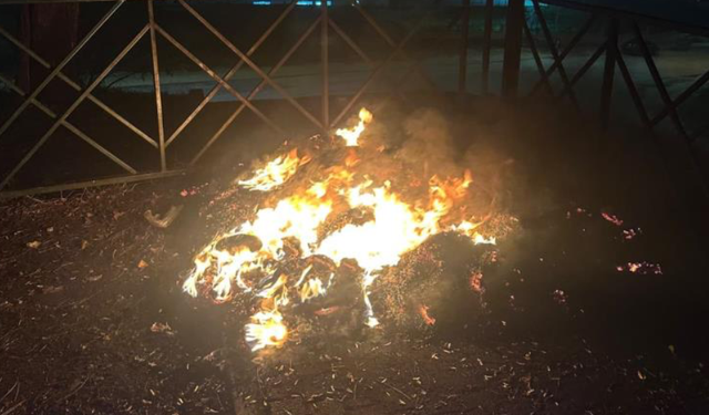 Eskişehir'de parkta tehlikeli eğlence! Bir anda yangın çıktı
