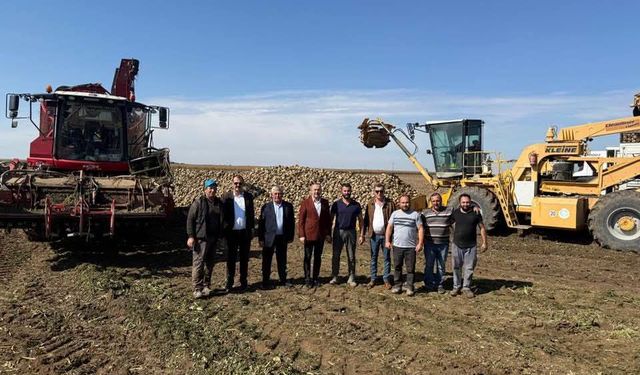 Eskişehir'de hasat başladı: Yöneticiler pancar tarlasında