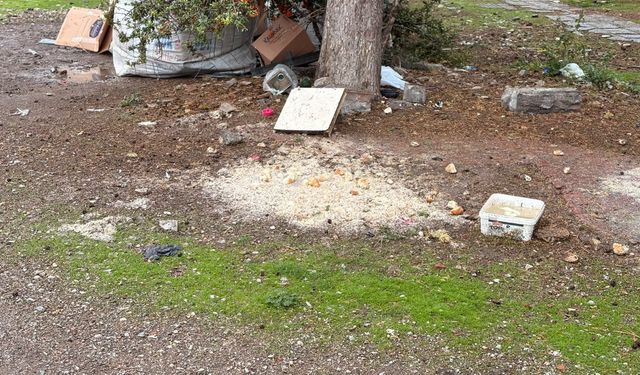 Eskişehir’de hayvanları beslemek için bırakılan yemekler yağmura yenildi
