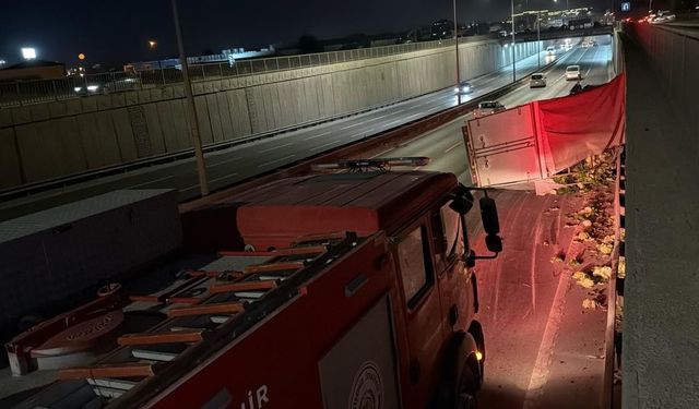 Eskişehir’de kediden kaçarken kamyoneti devirdi