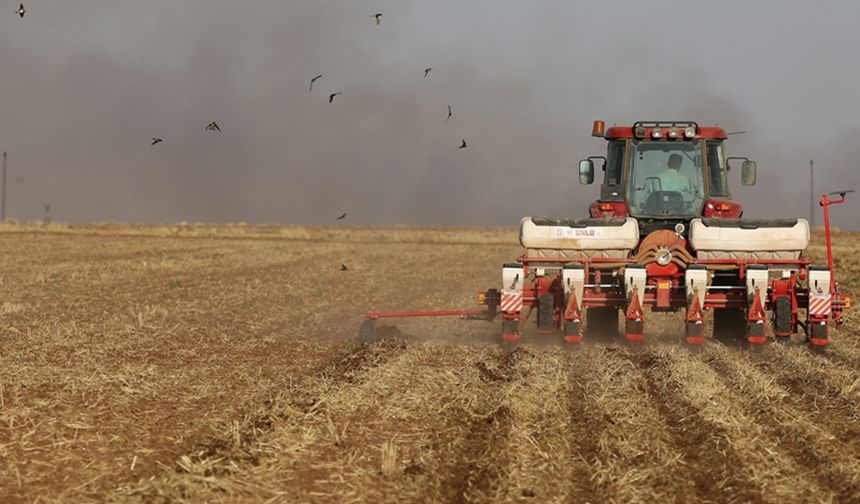 Milyonlarca çiftçiye müjde: Kasım ayında ödemeler yeniden başlayacak