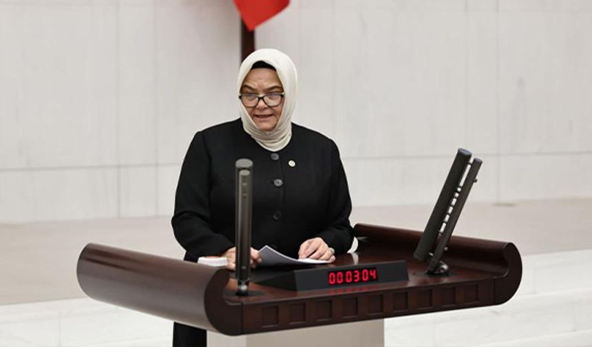 Ayşen Gürcan'dan TBMM'de bütçe konuşması