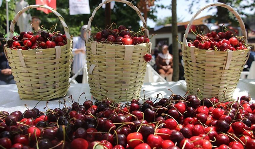 Eskişehirliler merakla bekliyordu: Ertelenen festivalin tarihi belli oldu