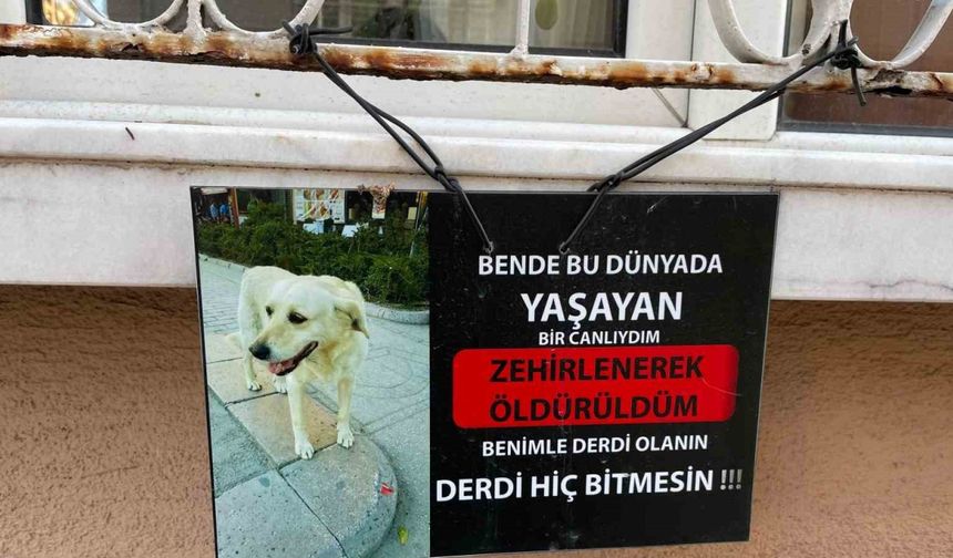 Zehirlendiği iddia edilen köpeğin fotoğrafıyla asılan not göze çarptı