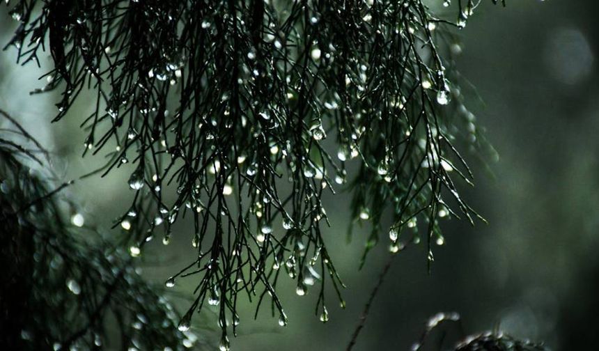 Meteoroloji uyardı: Yerel sağanaklara dikkat!