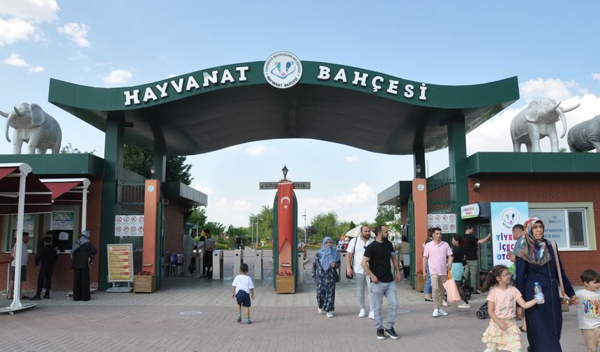 Eskişehir Hayvanat Bahçesi'nde en çok onlar ilgi çekiyor