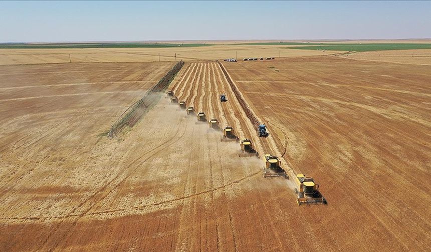 Fesih Bingöl: "Yanlış politikalar Türkiye’yi tarımda çöküşe sürüklüyor"