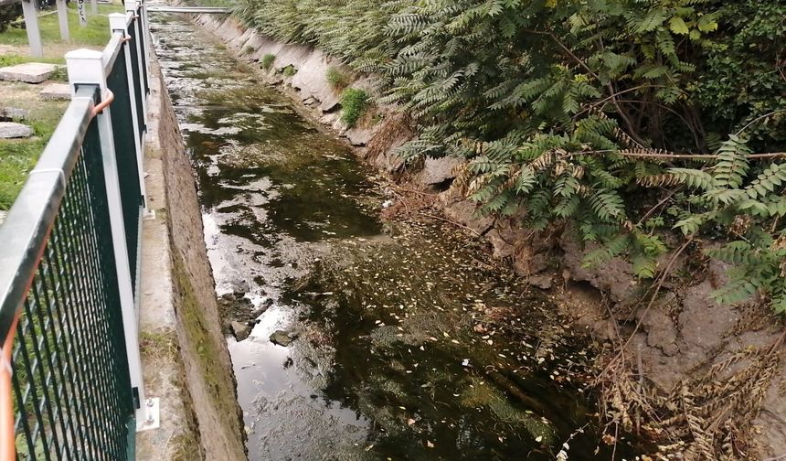 Eskişehir'de kanalların hali içler acısı