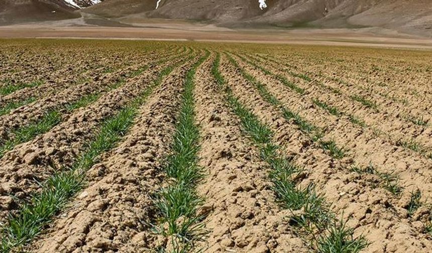 Toprak sağlığını güçlendirmek iklim hedeflerini hızlandırıyor