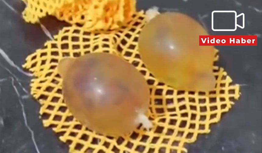 Eskişehirli babanın çektiği video sosyal medyayı salladı