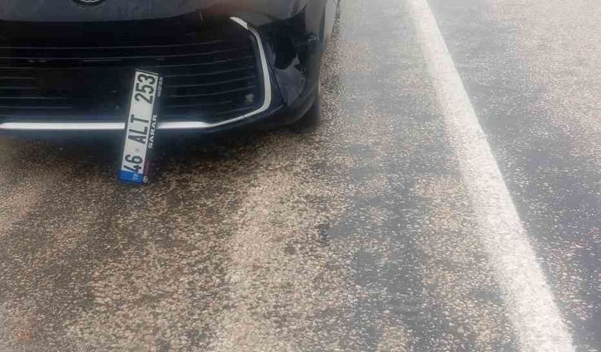 Köpeğe çarpan araç kaza yaptı: maddi hasar oluştu