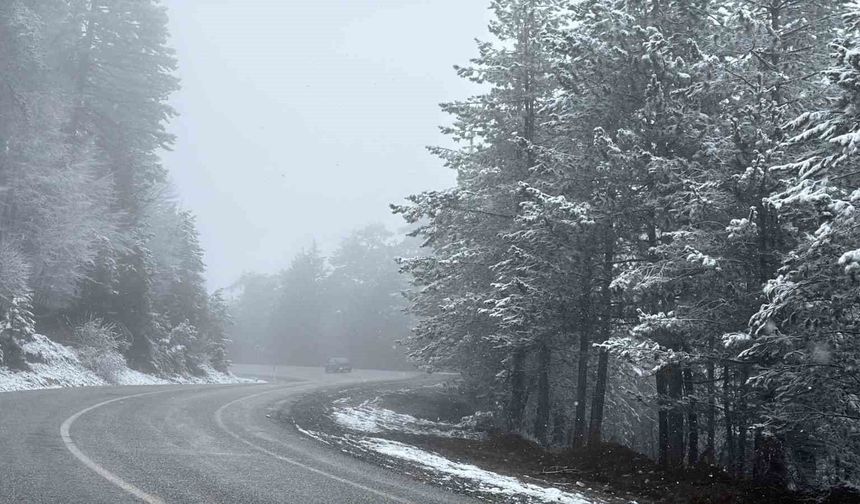 Kütahya'nın Domaniç Dağı'nda kar yağışı