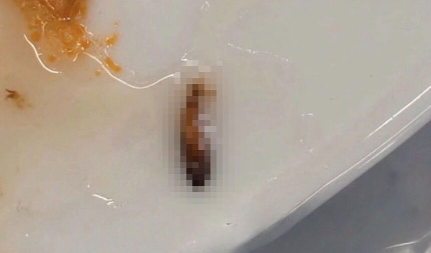 Anadolu Üniversitesi yemekhanesinde mide bulandıran iddia