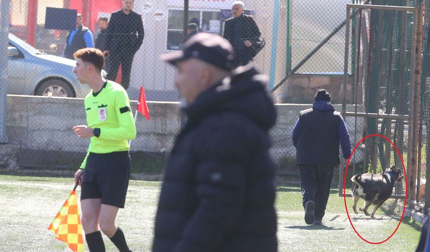 Eskişehir'de amatör küme maçında sahaya köpek girdi