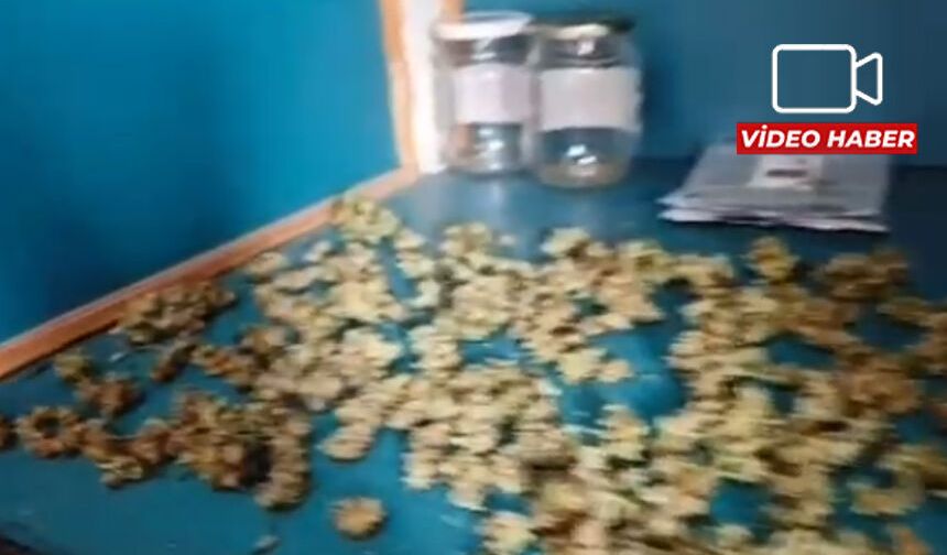 Eskişehir'de zehir tacirlerine büyük darbe: Kilolarca ele geçirildi