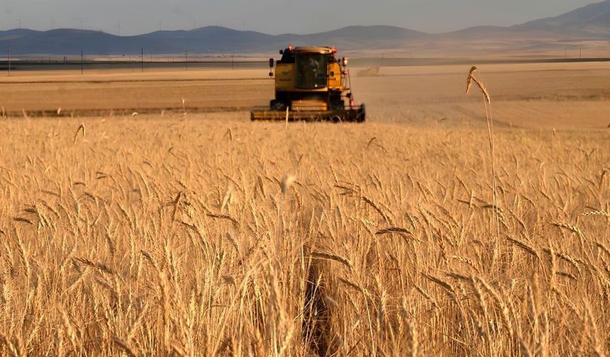 Eskişehirli çiftçiyi zamlar vurdu: Acil destek talebi