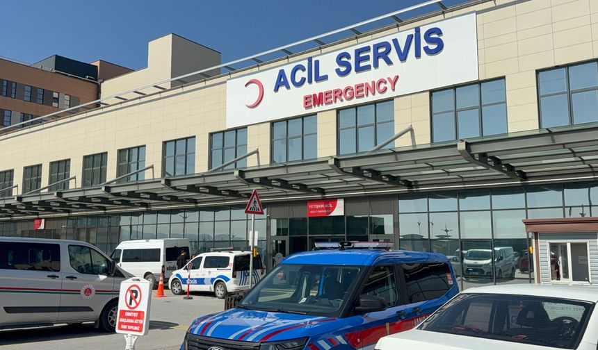 Sağlık Bakanı açıkladı: Kurban Bayramı'nın acı bilançosu