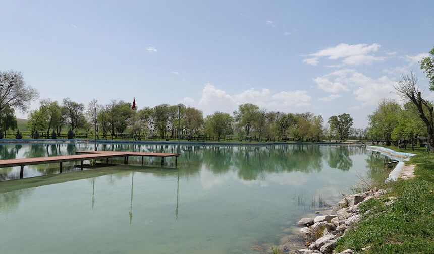 Çalışmalar sonuç verdi: Sakaryabaşı yeniden canlandı
