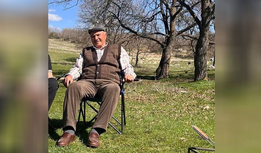 Eskişehir'de hayvanlarını otlatıyordu: Üstüne düşen yıldırımla can verdi