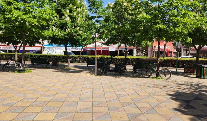 Eskişehir’de ağaçlara kilitlenen bisikletler sorun oluyor