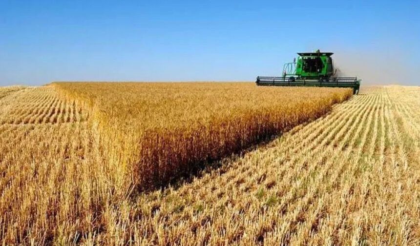 Tarlada kriz derinleşiyor: İşte çiftçinin talep ettiği taban fiyat