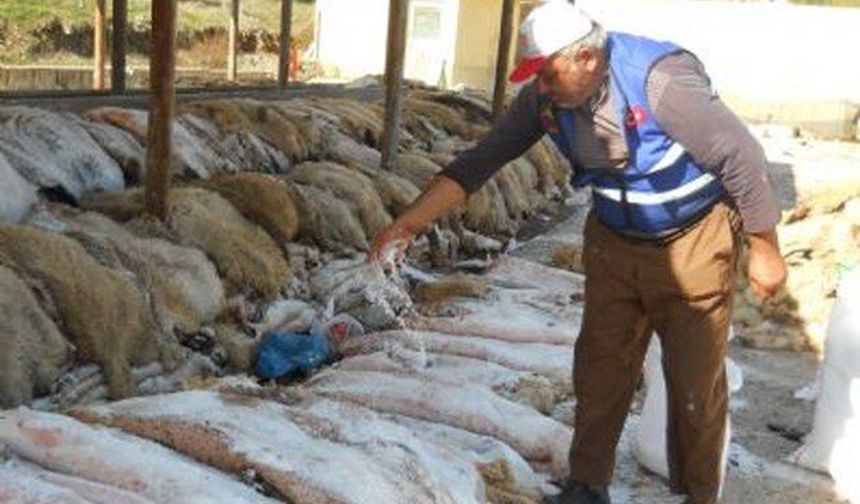 Kurban Bayramı öncesi THK’dan vatandaşlara önemli uyarı