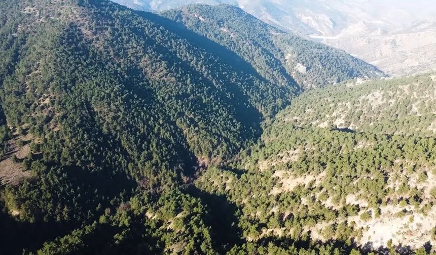 Eskişehir'deki Alpagut–Atalan altın madeninde kritik gelişme!