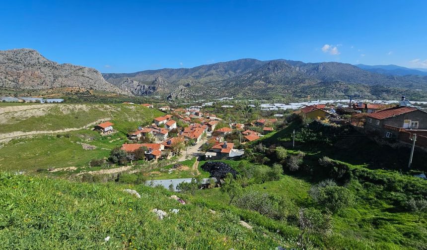 Eskişehir'de 100 bin ağaç kurtarılabilir: Maden projesi raporu şok etti!
