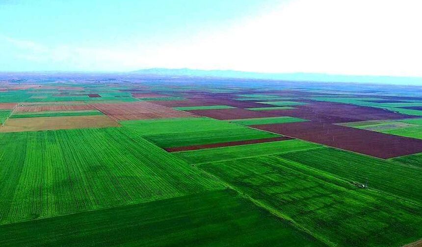 Eskişehir Alpu Ovası'nda yeni tehlike: ÇED süreci başlatılıyor