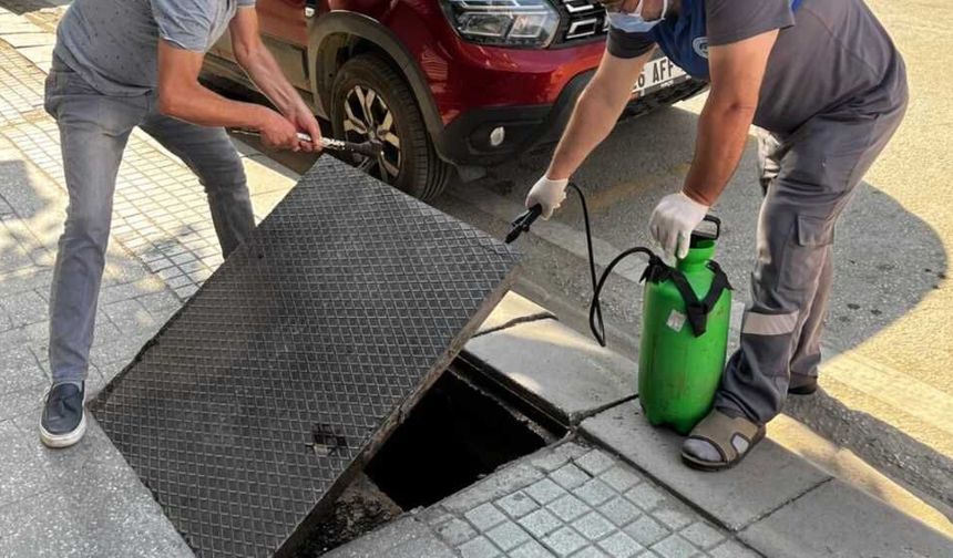 Eskişehirlileri bıktıran sorun için sokaklar ilaçlanıyor!