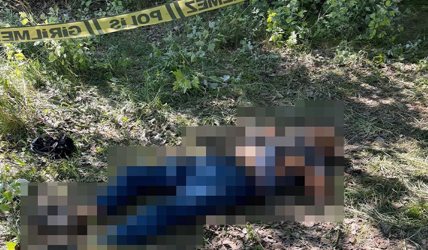 Eskişehir'de ağaçlık alanda acı olay: 62 yaşındaki adam ölü bulundu