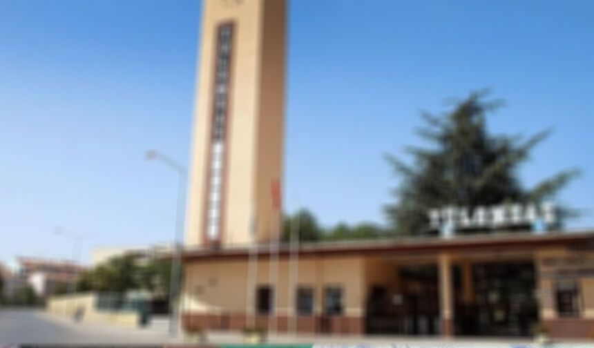 Eskişehir'in 130 yıllık çınarı özelleşecek mi? Bakan'a soru yağmuru