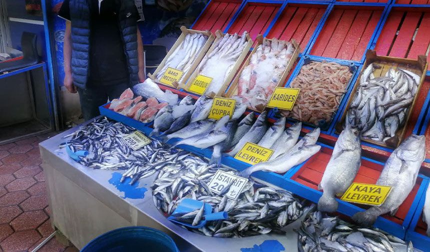 Eskişehir’de balık sezonu açıldı: İşte ilk hamsinin fiyatı