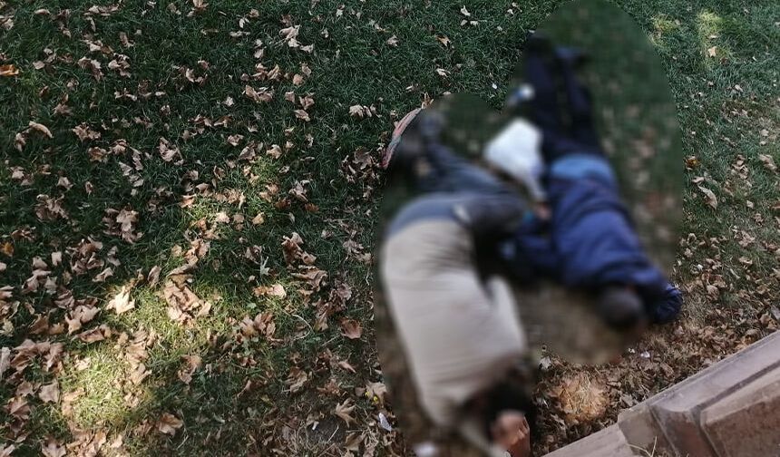 Porsuk kenarında endişelendiren görüntü: Saatlerce hareketsiz yattılar