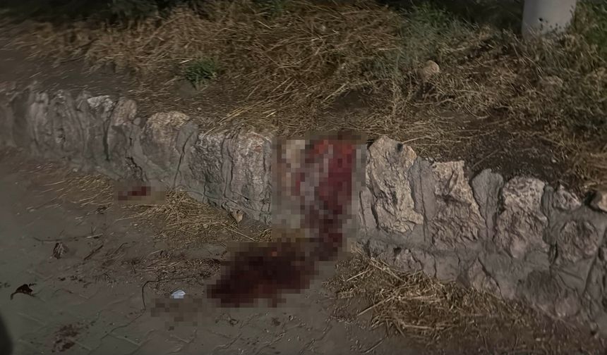 Eskişehir’de 17 yaşındaki gencin bıçaklandığı kavgada 3 tutuklama