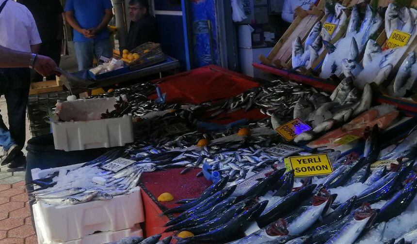 Eskişehir'de balık tezgahlarının gözdesi: Fiyatı yarı yarıya düştü!