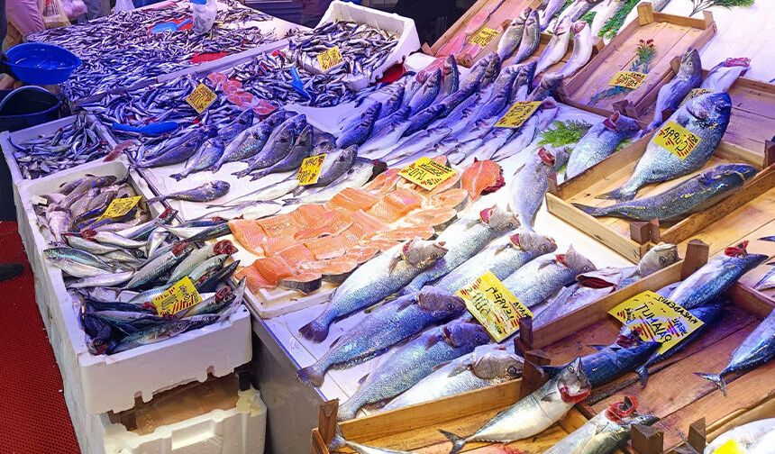 Eskişehir’de sezonun ilk gününde fiyat değişti: Palamut 450 liradan 150 liraya düştü