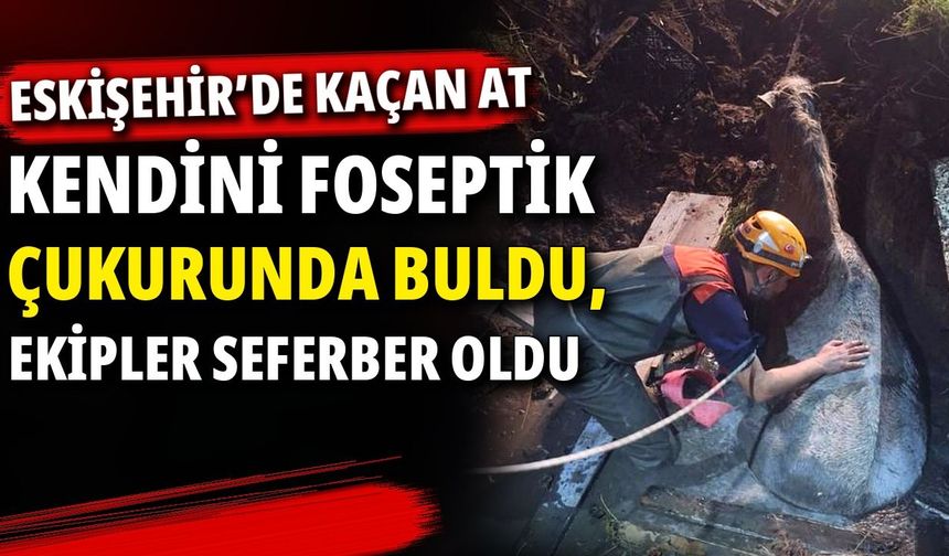 Eskişehir'de kaçan at kendini foseptik çukurunda buldu, ekipler seferber oldu