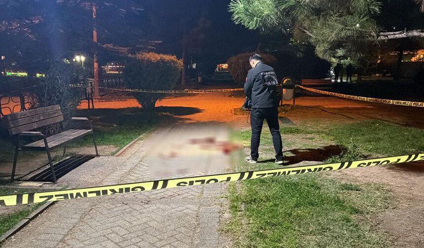 Eskişehir'de kanlı gece: Parkta bıçaklı kavga ölümle bitti!