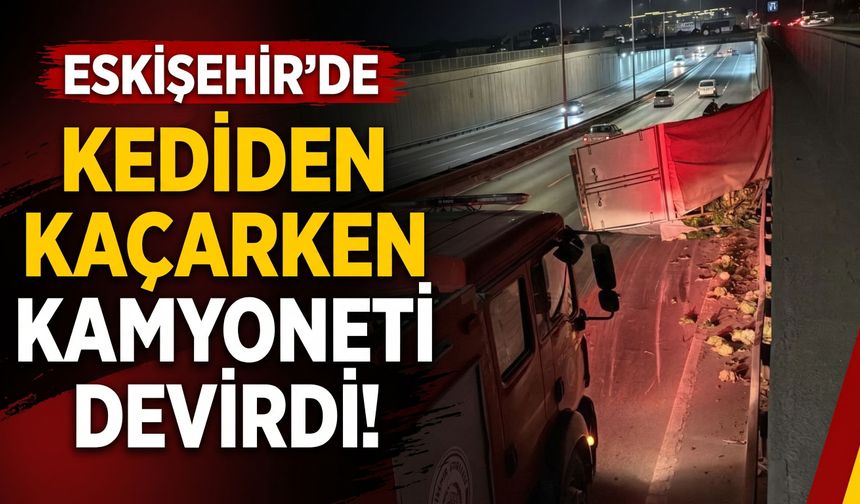 Eskişehir’de kediden kaçarken kamyoneti devirdi