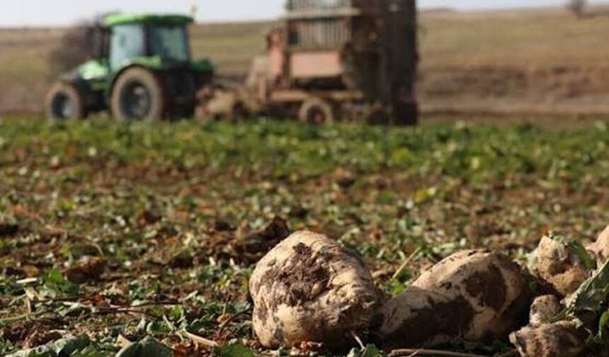 Pancarda fiyat belirsizliği sürüyor: İşte çiftçinin beklediği rakam