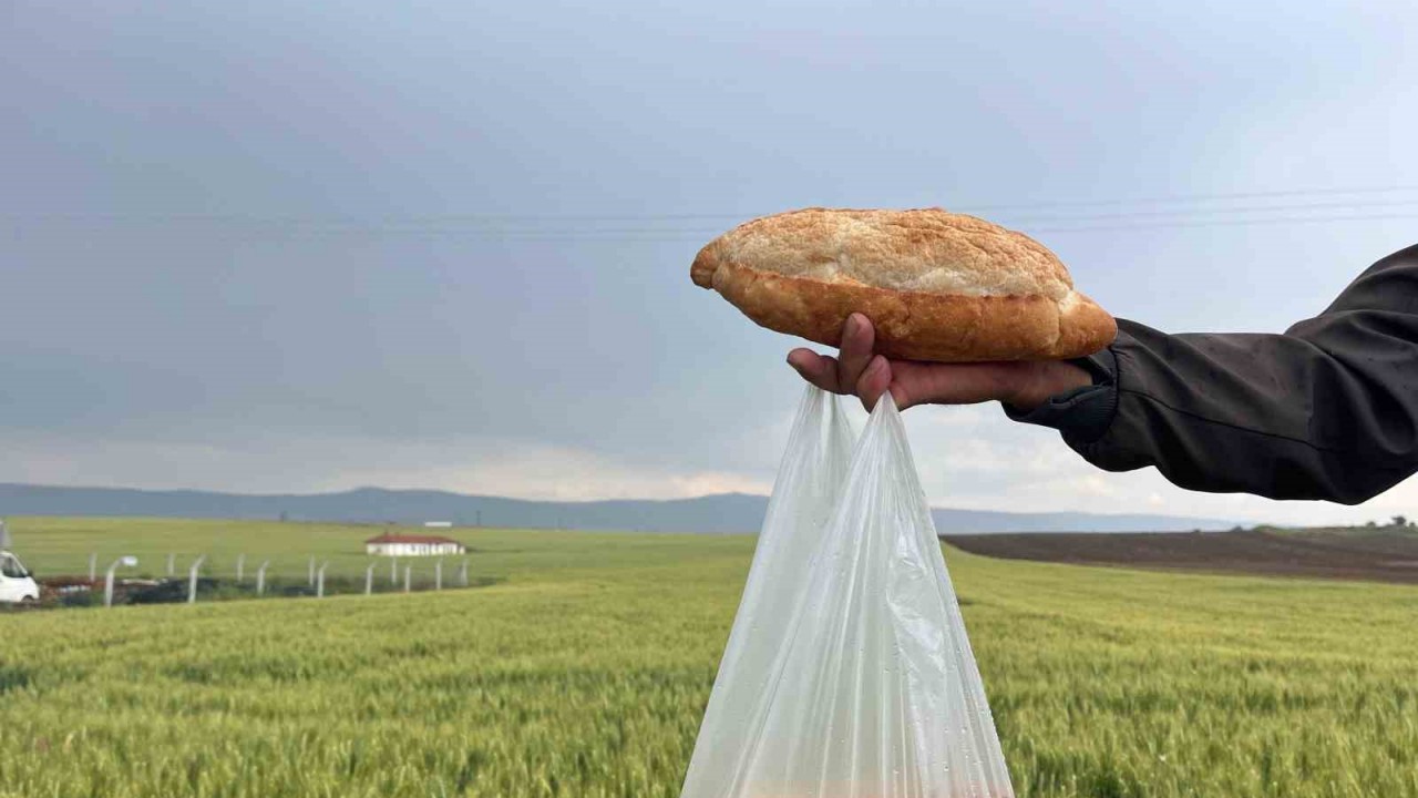 Çiftçinin 1 Kilogram Buğdayı 1 Ekmek Etmiyor
