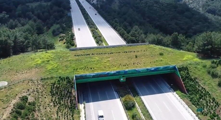 Türkiye'de 5 tane var: Biri de eskişehir hattı için geliyor